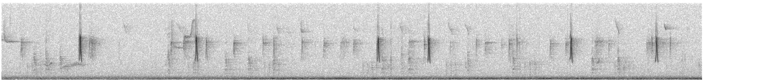 キヅタアメリカムシクイ（coronata） - ML614865585