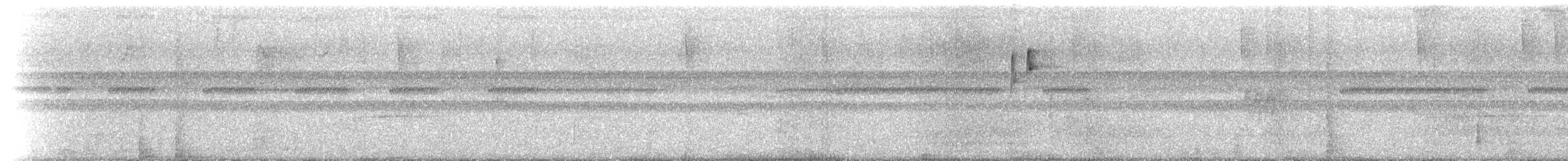 Большеклювый колибри-отшельник - ML614869220