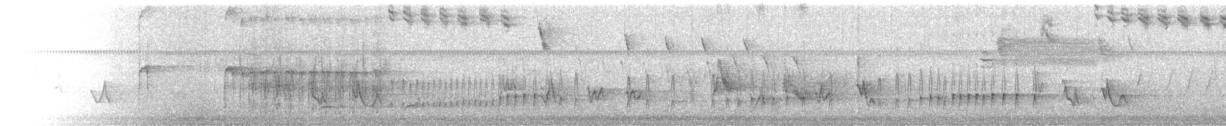 Antillenkönigstyrann - ML614873530