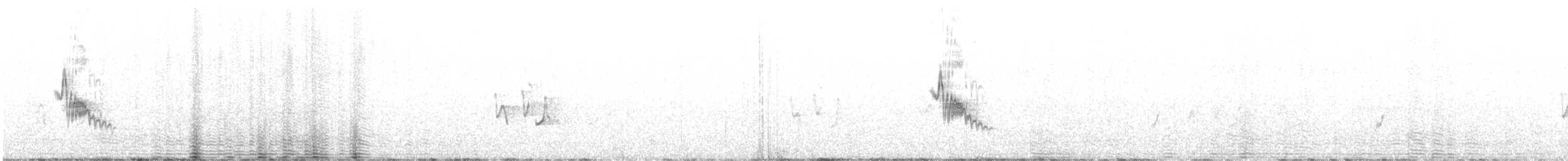 Bisbita Neozelandés (grupo australis) - ML614877588