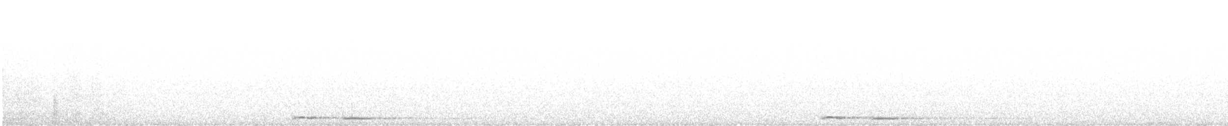 Сова-голконіг австралійська - ML614881088