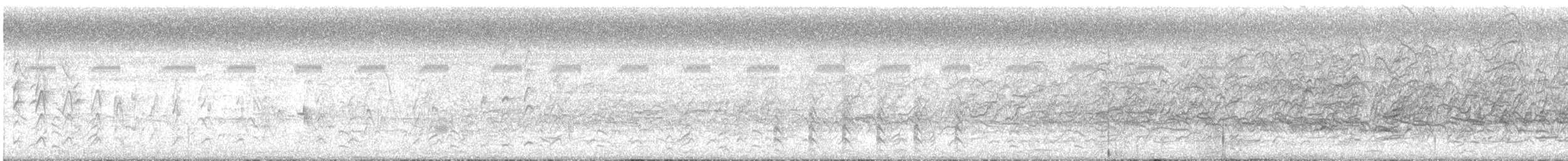Kara Karınlı Islıkçı Ördek - ML614883065