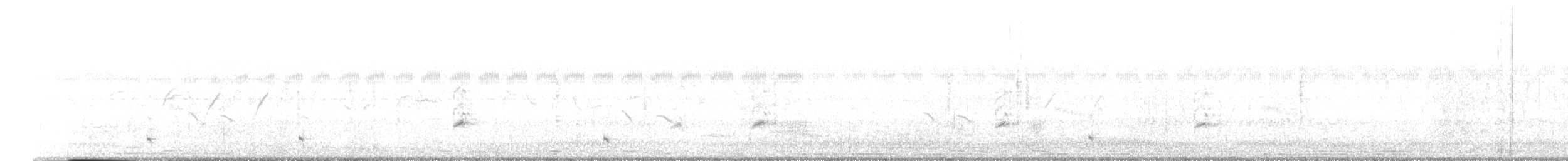Gallinule poule-d'eau - ML614883150