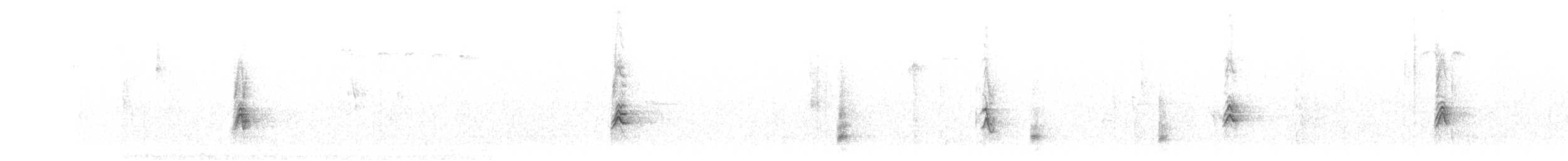 House Finch - ML614884587