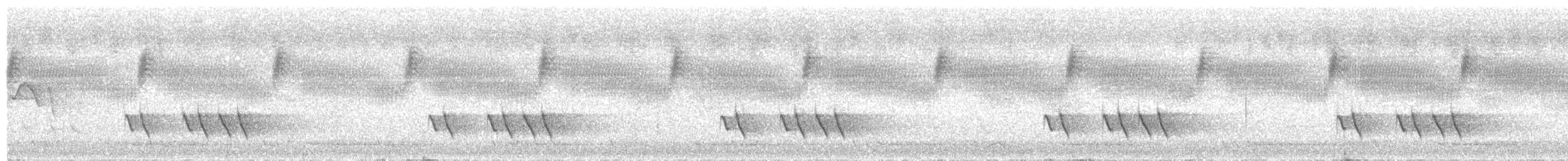 Allotrie siamoise (annamensis) - ML614885970