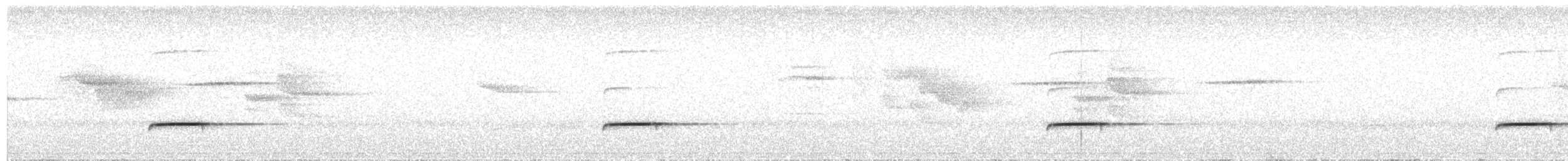 Kısa Kuyruklu Napoter - ML614886879