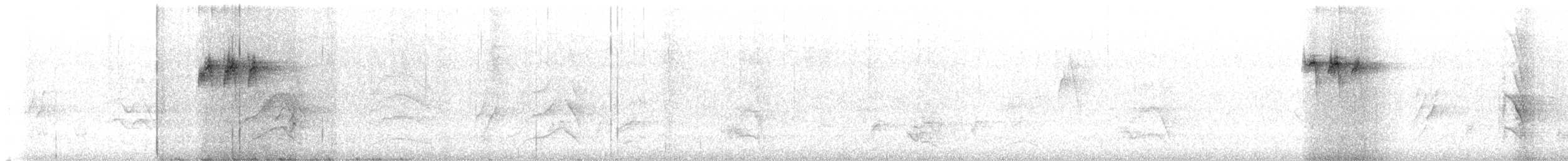 blåstrupet flaggermuspapegøye - ML614887564