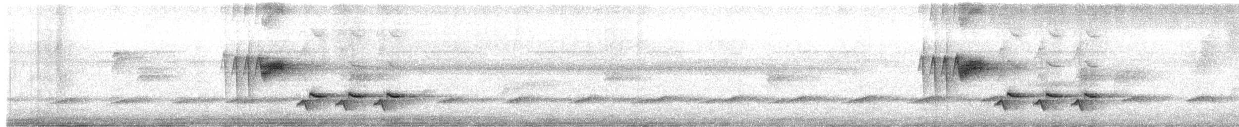 Белогрудый крапивник - ML614888170