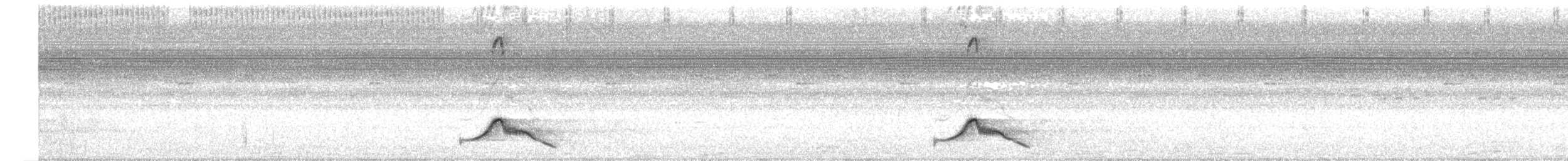 Common Pauraque - ML614894478
