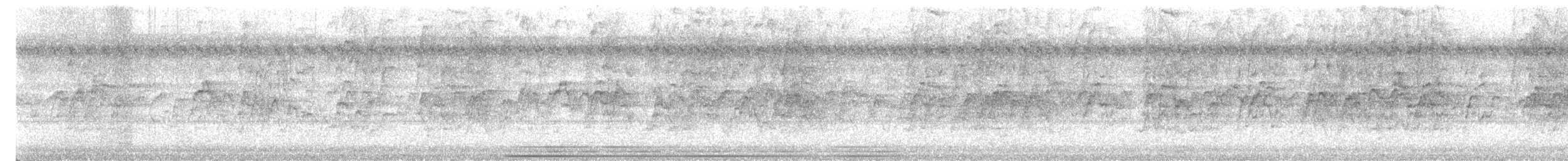 Cava Islıkçı Ördeği - ML614898752