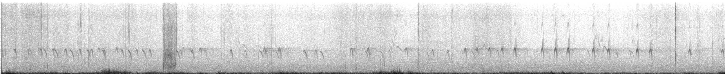 Bec-croisé des sapins - ML614908123