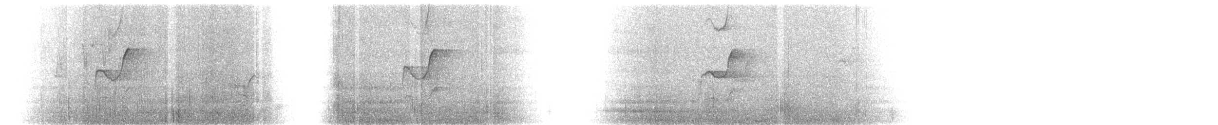 Western Flycatcher (Pacific-slope) - ML614911166