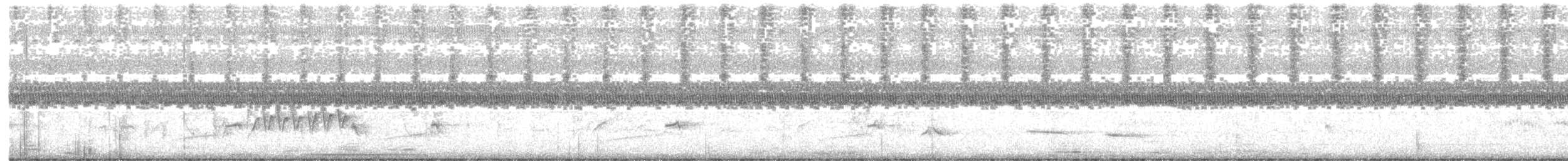 Ani à bec lisse - ML614912251