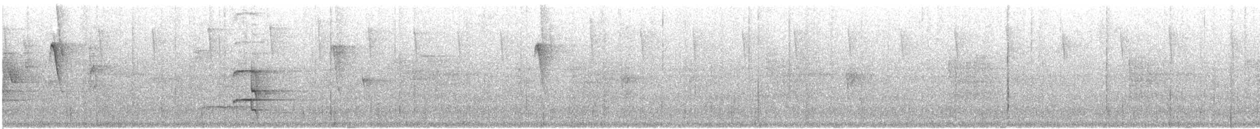 Пестрогорлый колибри-отшельник - ML614913839