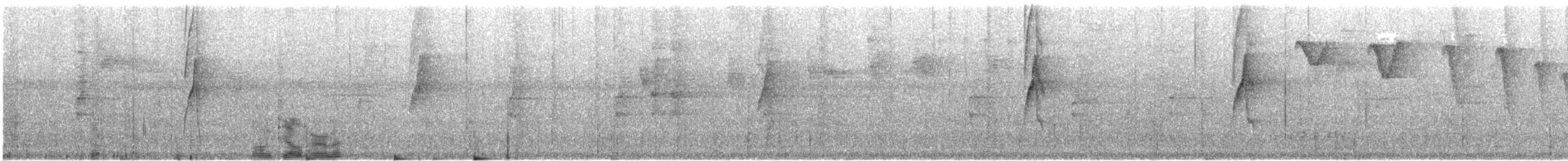 Длинноклювый колибри-отшельник [группа longirostris] - ML614913857