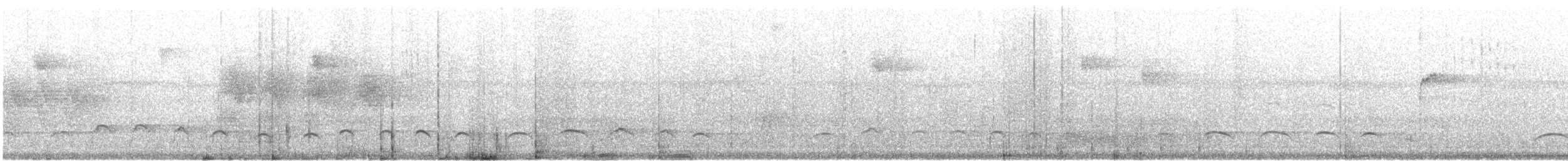 Common Black Hawk - ML614914159