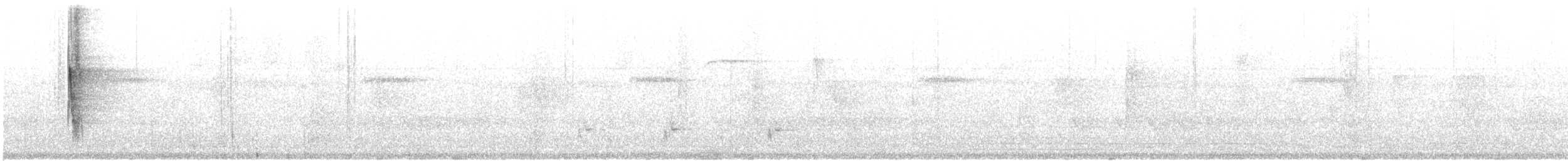 kilenebbtreløper (pectoralis gr.) - ML614914222