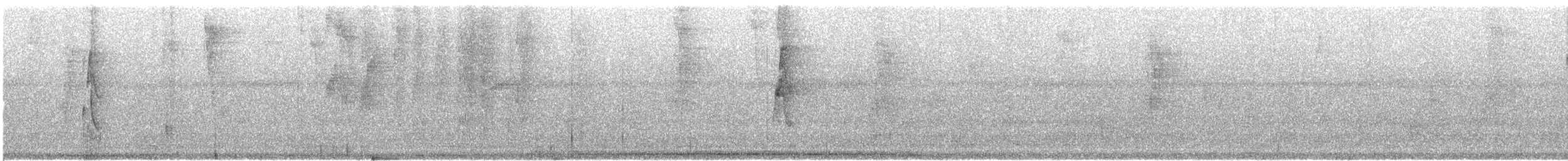 Uzun Gagalı Hermit [longirostris grubu] - ML614914305
