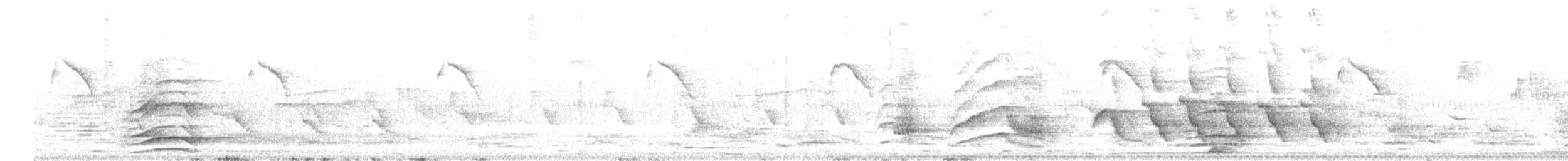 Malabar Gray Hornbill - ML614914325