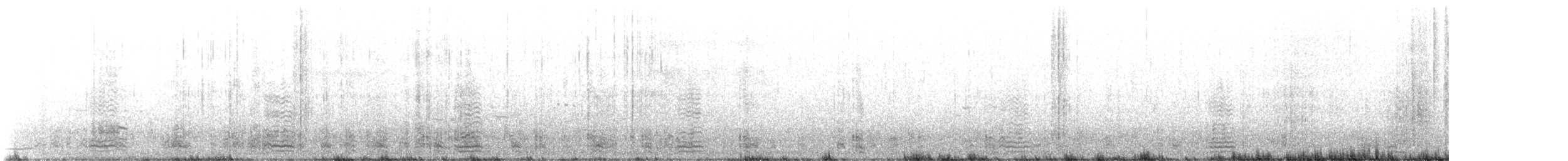 Казарка чорна (підвид nigricans) - ML614918733