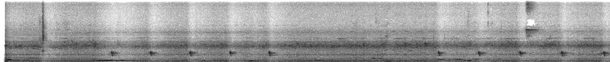 Large-tailed Nightjar - ML614935220