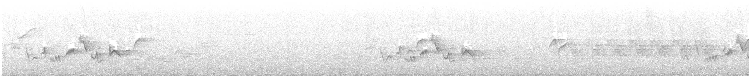 Warbling Vireo (Western) - ML614935508