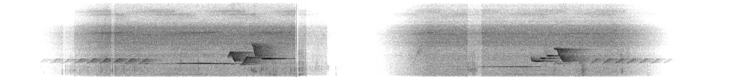 Широкохвістка фіджійська - ML614937368