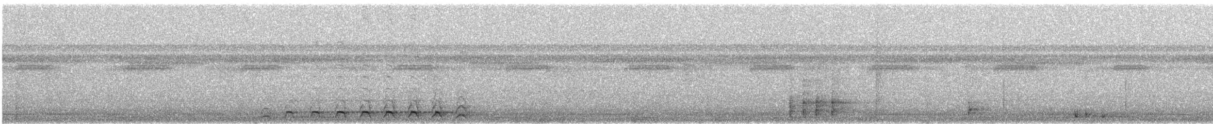 Lattice-tailed Trogon - ML614945182