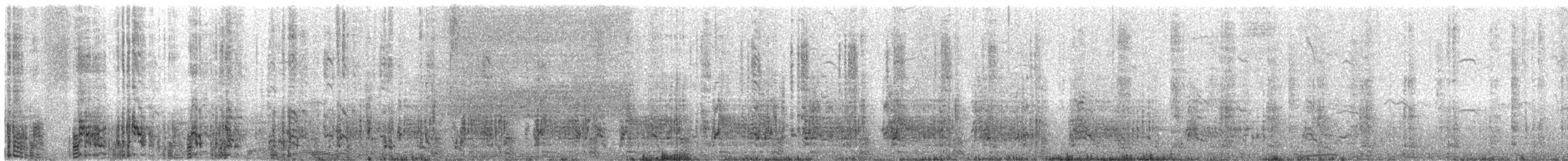 Pingüino Saltarrocas Meridional - ML614945230