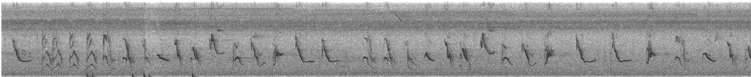 Рисоїд нікарагуанський - ML614946672