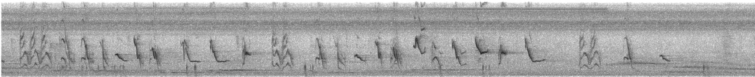 Рисоїд нікарагуанський - ML614946673