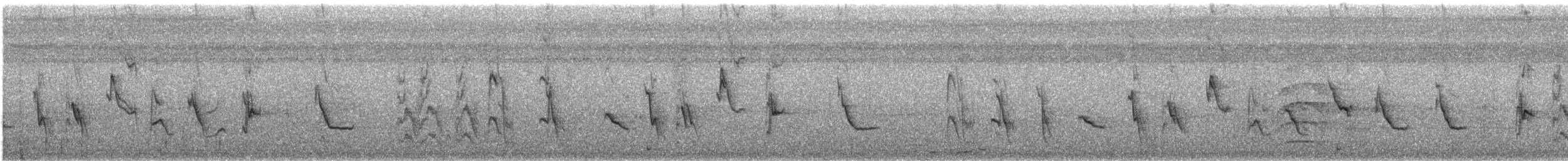 Рисоїд нікарагуанський - ML614946674