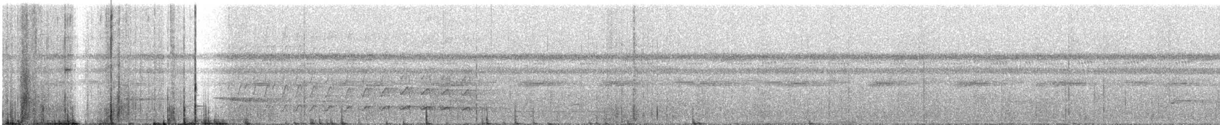 Siyah Çizgili Tırmaşık - ML614947103