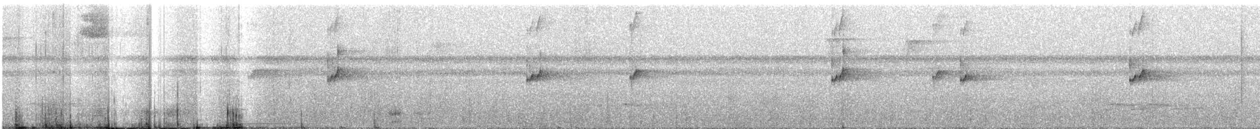 Kara Tepeli Küçük Tiran - ML614947124