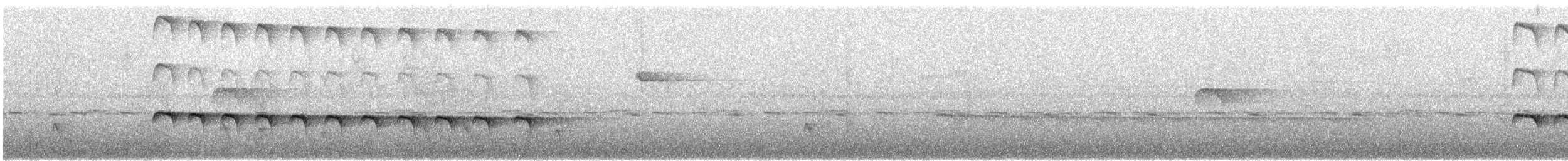Zeledon Karıncakuşu - ML614947357