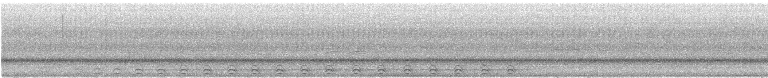 Slaty-tailed Trogon - ML614947905