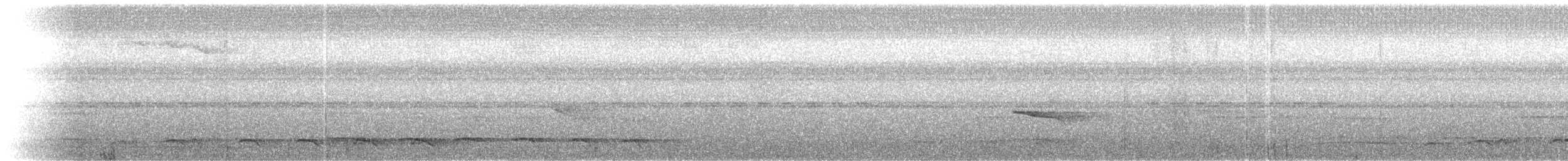 Collared Trogon - ML614951570