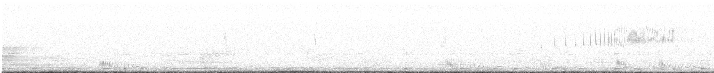 Чернобрюхий рябок - ML614953854