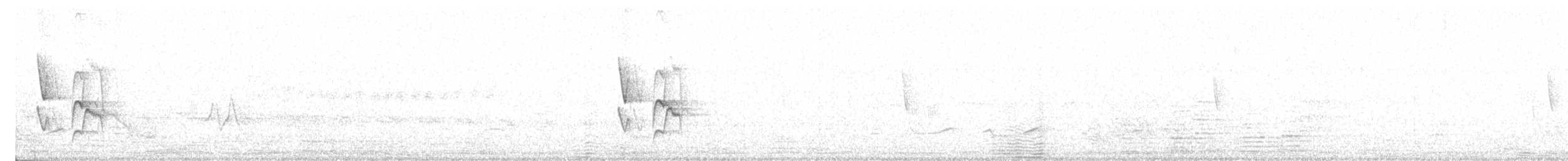Graustirn-Dickichtschlüpfer - ML614955007