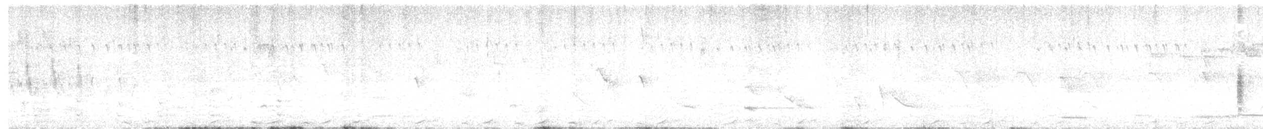 Spotless Crake - ML614968338