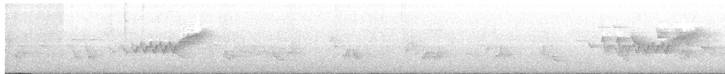 Cerulean Warbler - ML61496871