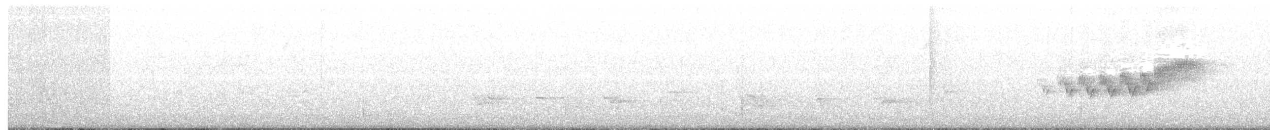 Cerulean Warbler - ML61496891