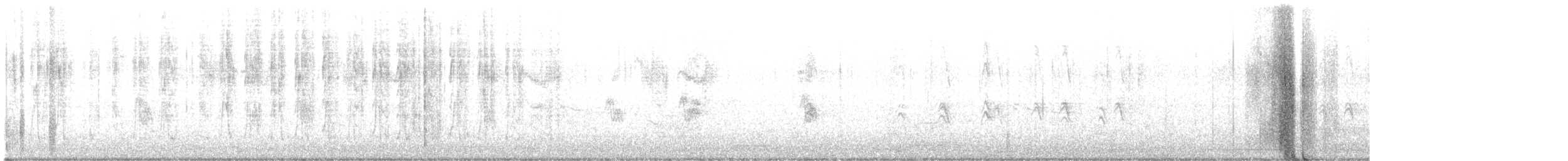 Geniş Gagalı Kolibri - ML614974193
