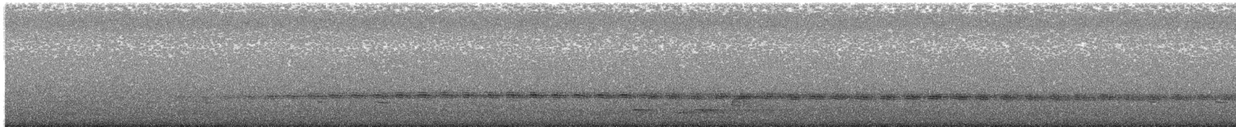 Sahul Cicadabird - ML614976391