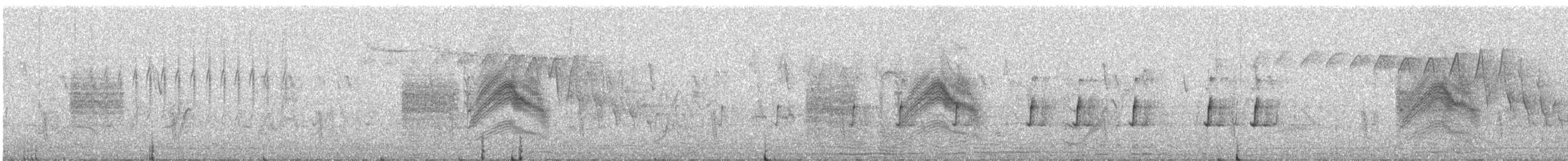 Bush Pipit - ML614978229