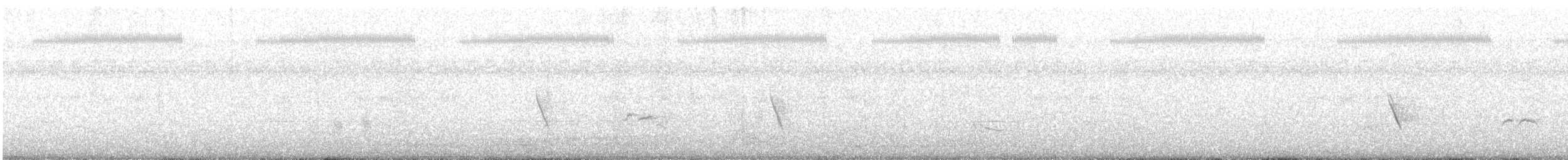 Long-tailed Shrike - ML614978664