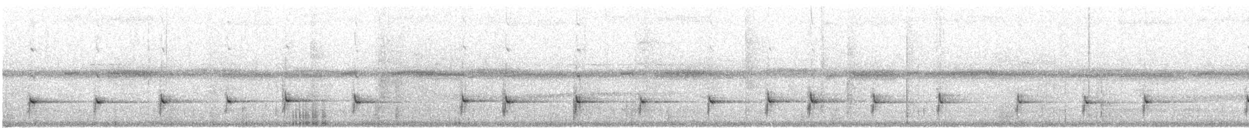 Troglodyte à poitrine blanche (groupe prostheleuca) - ML614988762