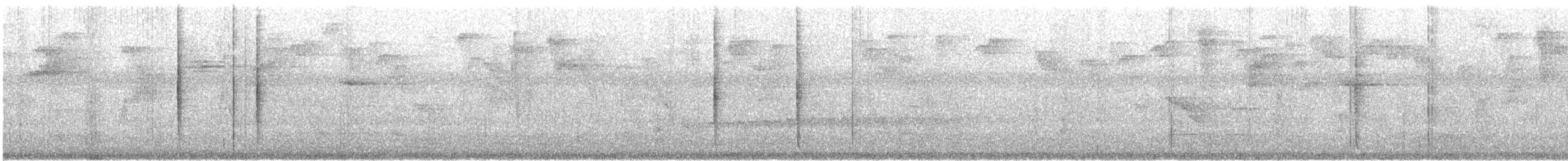 Braunschwanzamazilie [tzacatl-Gruppe] - ML614988903