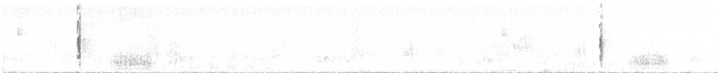 kukačka veverčí (ssp. mexicana) - ML61499051