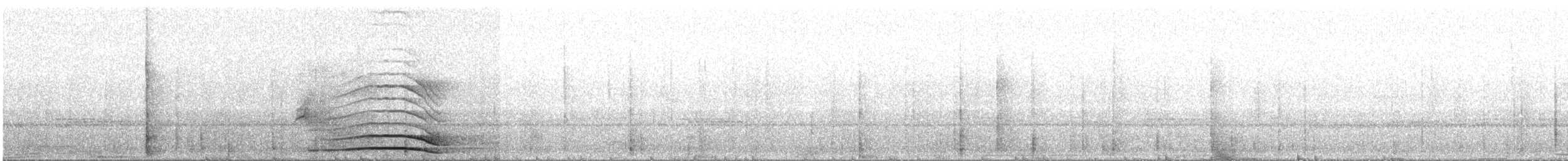 クロオビヒナフクロウ（サンイシドロ） - ML614996002
